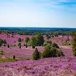Heideblick An Der Lueneburger Heide 3*
