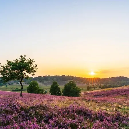 מלון Heideblick An Der Lueneburger Heide 3*