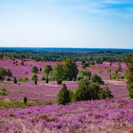 Heideblick An Der Lüneburger Heide 3*